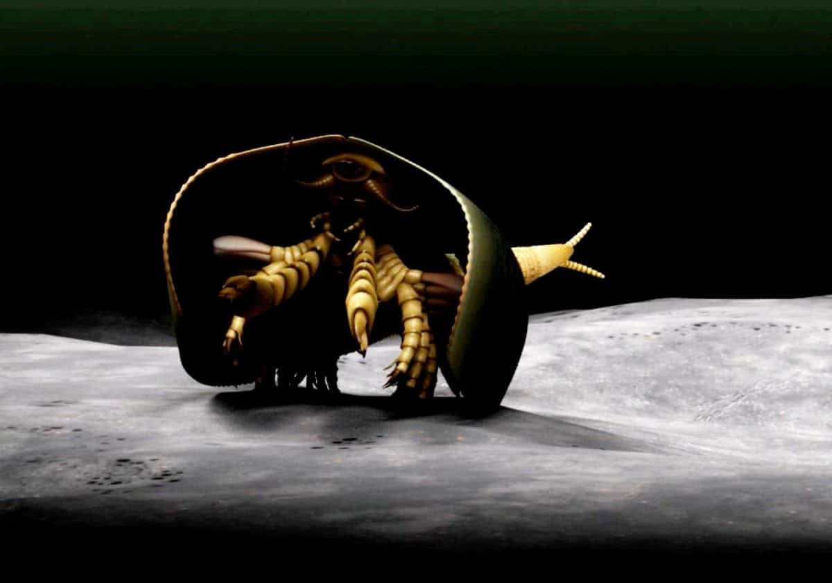 ***EMBARGOED UNTIL 6PM BST, WED APR 26TH (17:00 GMT)***
A 507 million-year-old sea monster with can-opener like pincers has been identified for the first time. See NATIONAL story NNMONSTER. And the strange-looking creature could point to the origin of modern day millipedes, crabs and insects, according to paleontologists. Canadian scientists have uncovered the new fossil species that sheds light on the origin of mandibulates - the most abundant and diverse group of organisms on Earth, which includes flies, ants, crayfish and centipedes. The creature, named Tokummia katalepsis by the researchers, is a new and "exceptionally well-preserved" fossilised arthropod - a common group of invertebrate animals with segmented limbs and hardened exoskeletons. Tokummia documents for the first time in detail the anatomy of early "mandibulates", a sub-group of arthropods which possess a pair of specialised appendages known as mandibles, used to grasp, crush and cut their food. Study lead author Cedric Aria, a recent graduate of the PhD programme at the University of Toronto, said: "In spite of their colossal diversity today, the origin of mandibulates had largely remained a mystery.