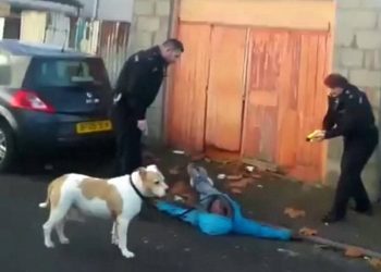This is the shocking moment Judah Adunbi was tasered in the face by a police officer in Bristol. See SWNS story SWTASER; Bungling police officers tasered their own black Race Relations Advisor in the face - after mistaking him for a wanted man. A stunned passerby filmed the officers confronting 63-year-old Judah Adunbi - who works to smooth relations between police and the black community - and ask for his name. But when the indignant grandfather refuses and tries to enter his home officers shout “Taser” and shoot the electric gun at his face. Mr Adunbi, one of the founders of the Independent Advisory Group set up by the police with the BME community in Bristol, then falls to the ground.