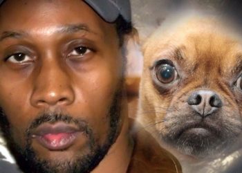 Woof-Tang Clan sued by Wu-Tang Clan