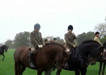 Footage showing the hunt chasing a fox. See Ross Parry story RPYHUNT; A police investigation into a hunt has been dropped by the CPS due to a lack of evidence - despite officers being given a VIDEO of a fox being chased by hounds. The CPS was handed footage of a fox across fields in Cheshire - followed by terriermen on quads and hunt members on horses. Cheshire Monitors - a group of hunt saboteurs - captured the chase from two different locations and gave the footage to the police, who took statements and did site visits. But after six months of investigating, the CPS said the case "didn't meet the evidential test" so dropped the case. The protesters are calling on law makers to strengthen the "weak and pretty useless" Hunting Act which outlaws the hunting of foxes by hounds.