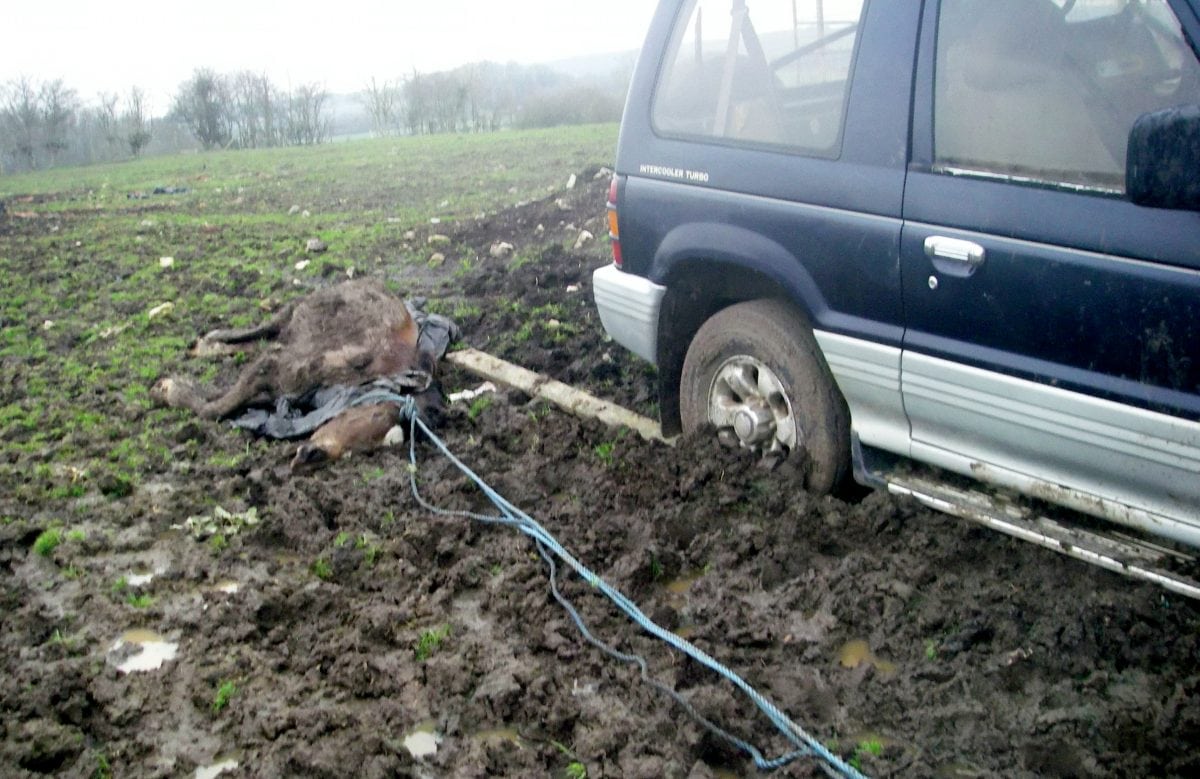 farm from hell
