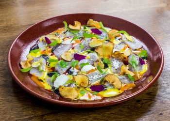 LIMA cobia fish tiradito