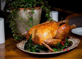 KellyBronze Turkey | Photo: www.kellybronze.co.uk