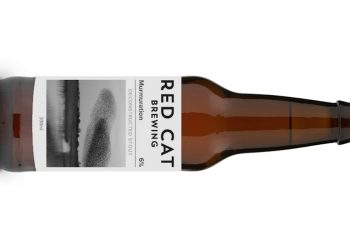 Red Cat Brewing Murmuration Deconstructed Stout