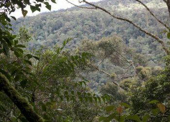 Indonesia - Credit;SWNS