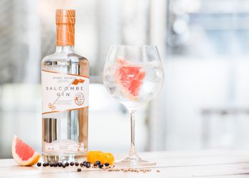 Salcombe Gin Start Point