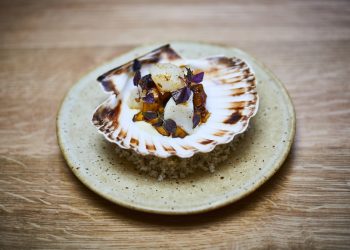 Orasay Isle of Mull Diver Scallop
