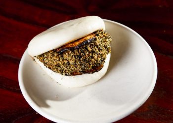 Aubergine BAO
