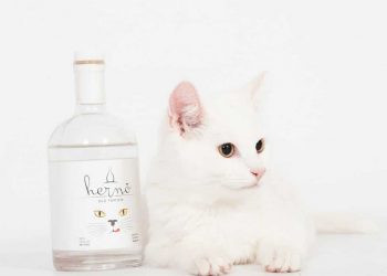 Hernö Old Tom Gin