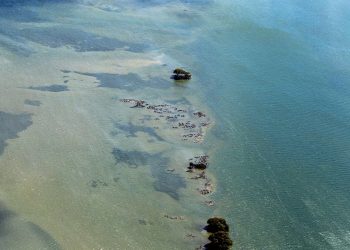 Great Barrier Reef (PA)