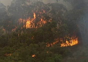 In this image made from video, an aerial scene showsfires burning in Bundoora, Victoria state, Monday, Dec. 30, 2019. New Year’s Eve fireworks in Australia’s capital and other cities have been canceled as the wildfire danger worsens in oppressive summer heat, and pressure was building for Sydney’s iconic celebrations to be similarly scrapped. (Australian Broadcasting Corporation, Channel 7, Channel 9 via AP)