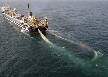 Undated handout photo issued by Greenpeace of the world's second largest factory fishing trawler, the Lithuanian FV Margiris, which has been spotted off the south coast of England, raising environmental concerns. Credit;PA