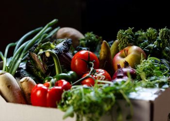 pale green dot produce delivery