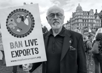 Credit: Compassion in World Farming