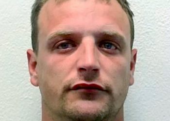 Daniel Allan.  A man identified in a social media video kicking a Met officer in the back during the demonstrations in central London last weekend has been convicted of violent disorder.  See SWNS story SWNNthug.  Daniel Allan, 35, from Sunderland, pleaded guilty to the offence at Westminster Magistrates’ Court on Monday, 15 June.  Allan had travelled down to London from his home in Sunderland to take part in demonstrations in Parliament Square on Saturday, 13 June.  At approximately 15:15hrs, Allan was seen kicking a police sergeant in the back and knocking him to the ground in Bridge Street, Westminster.  Footage of Allan’s behaviour was then shared widely on social media and, a short while later, police officers recognised Allan due to his distinctive coloured clothing.  Allan was then arrested by officers from City of London Police.  He was later charged with violent disorder and he will be sentenced at a later date.  The officer sustained bruising to his back and is currently recovering at home.Credit;SWNS