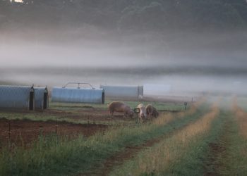 Regenuary Regenerative Farming
