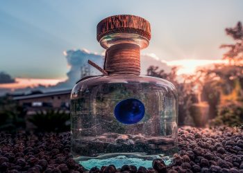 Procera Gin