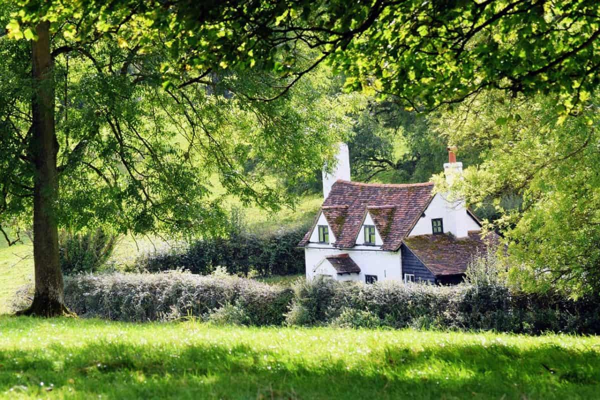 escape to the country 2021