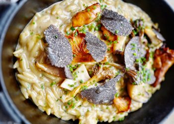 Oblix orzo recipe with wild mushroom and truffle