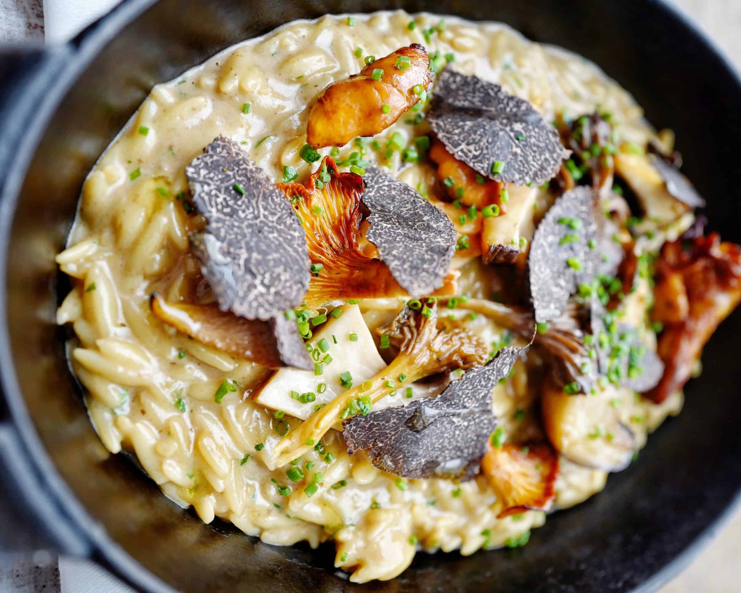 Orzo with wild mushroom and truffle
