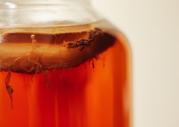 Kombucha recipe SCOBY Photo by Tim-Oliver Metz on Unsplash