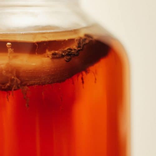 Kombucha recipe SCOBY Photo by Tim-Oliver Metz on Unsplash