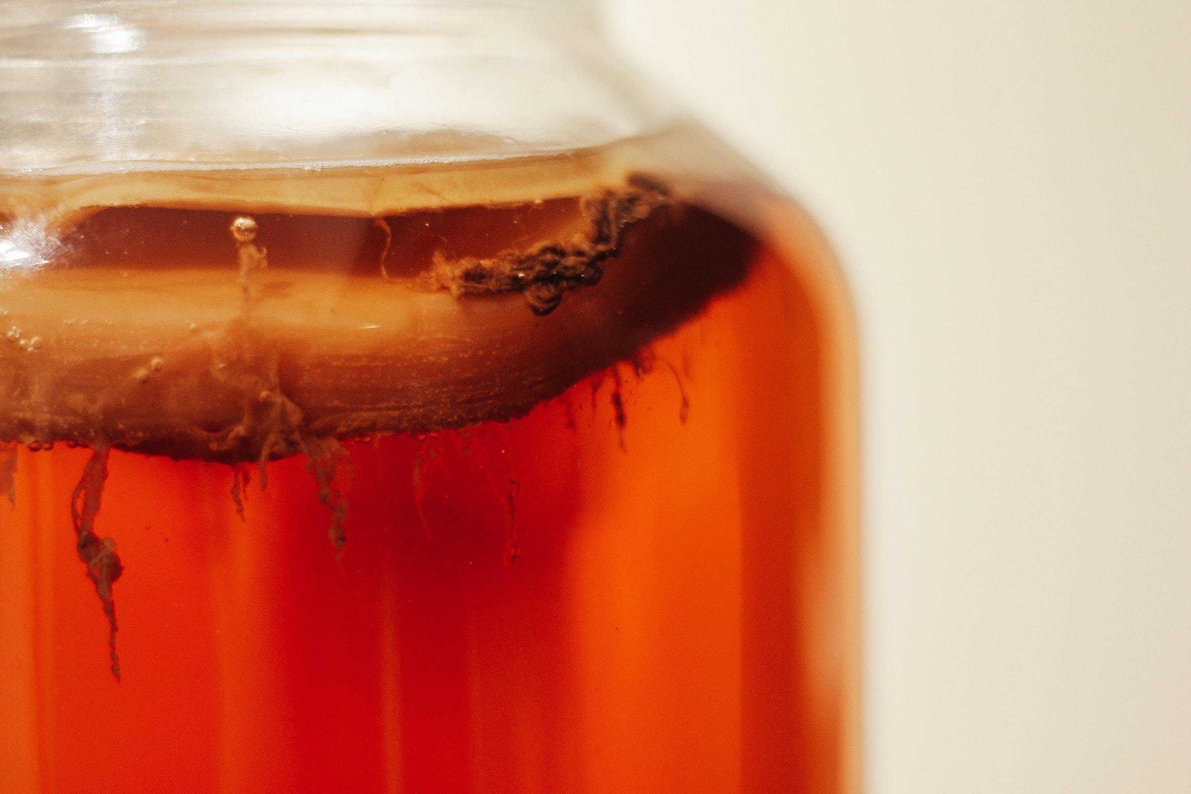 How To Make: Kombucha
