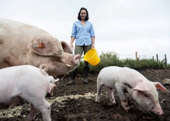 Catherine Withers whose family work on the farm. Credit;SWNS