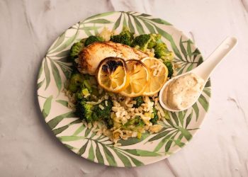 Chicken Breast with Creamy Dill Sauce & Broccoli-Leek Rice