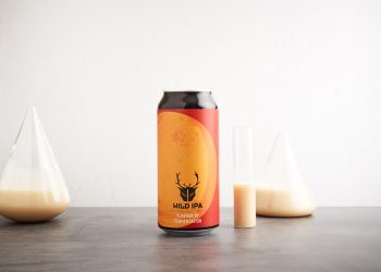 The Wild Beer Co. Wild IPA