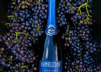Hambledon Premiere Cuvee