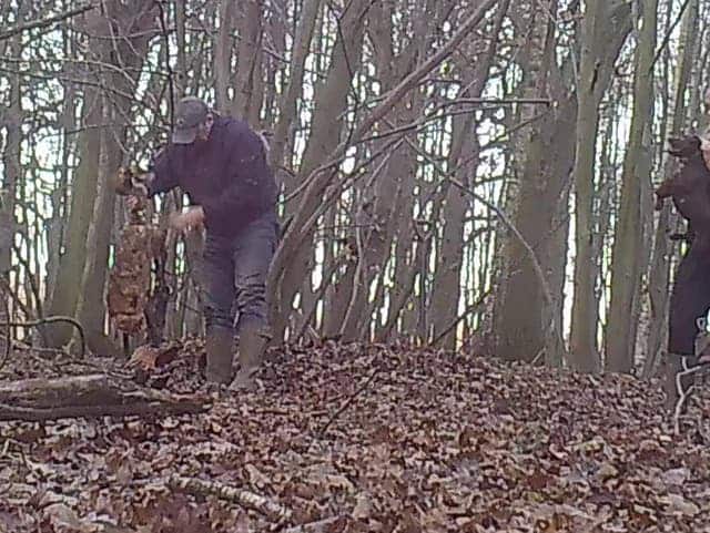 (North London Hunt Sabs)