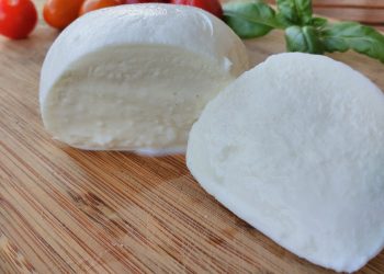 homemade mozzarella