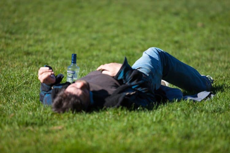 Public drinking Hounslow