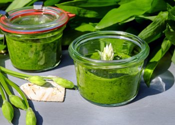Wild Garlic Pesto