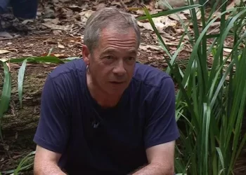 I'm A Celebrity