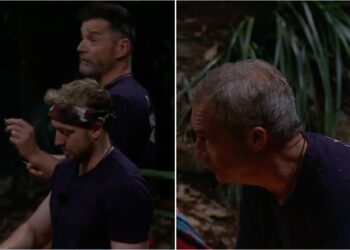 I'm A Celebrity... Get Me Out Of Here