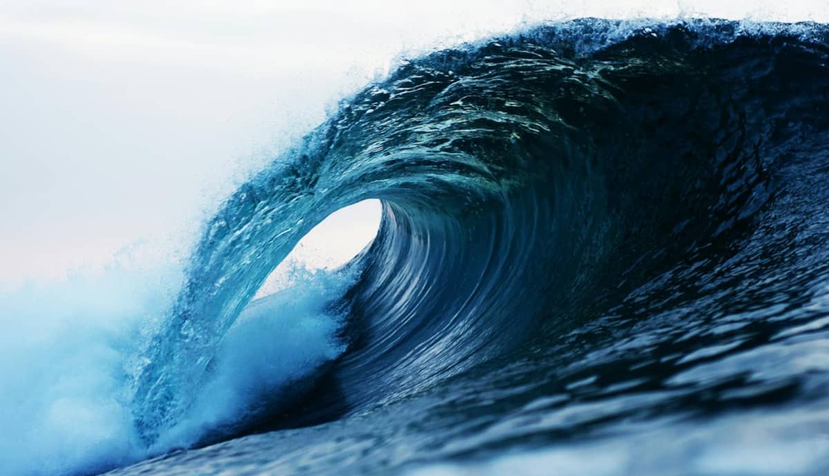 A Flood Of AI-Generated Books Threatens To Drown Legitimate Authors