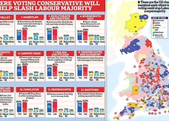 Tactical voting