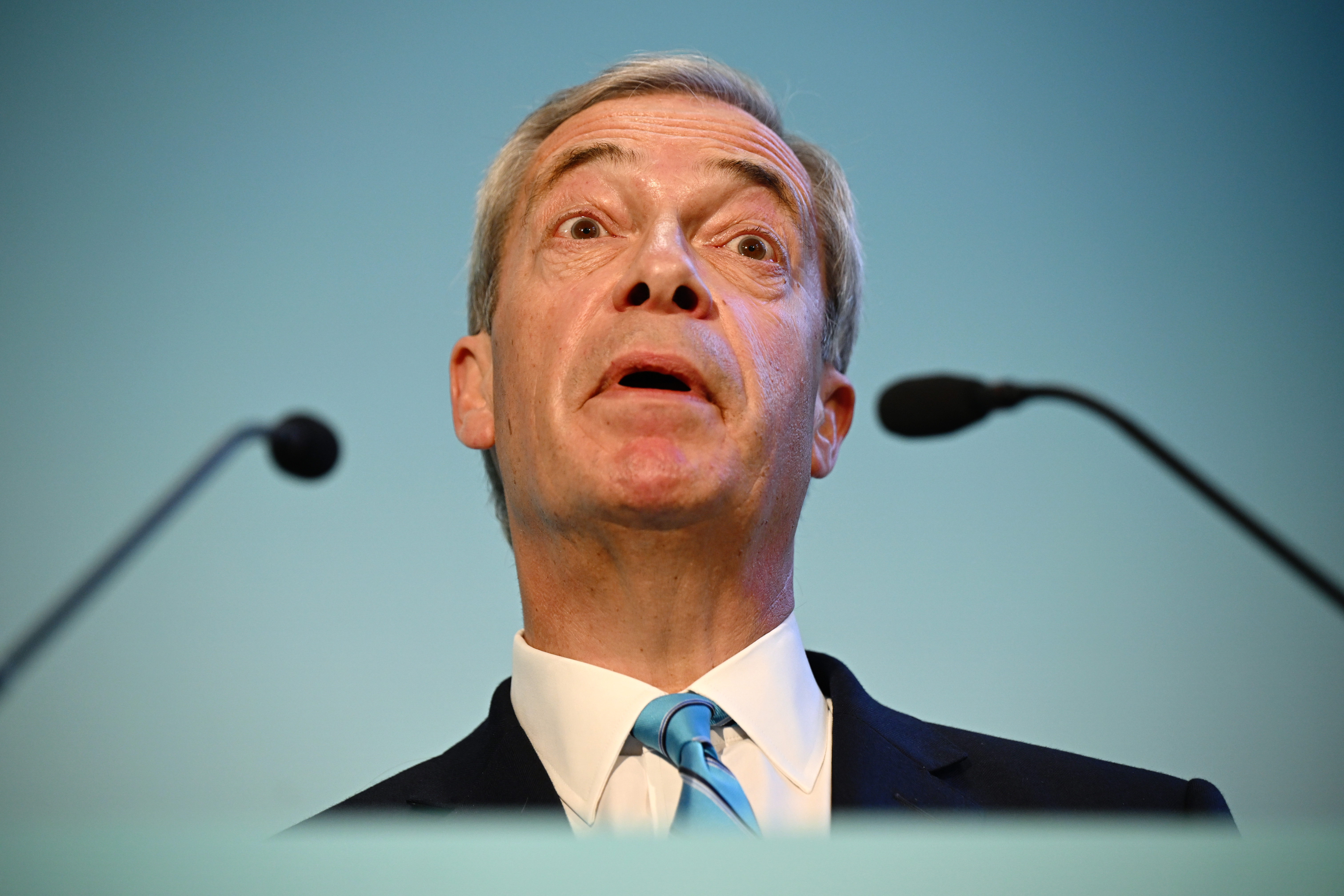 nigel farage electoral reform