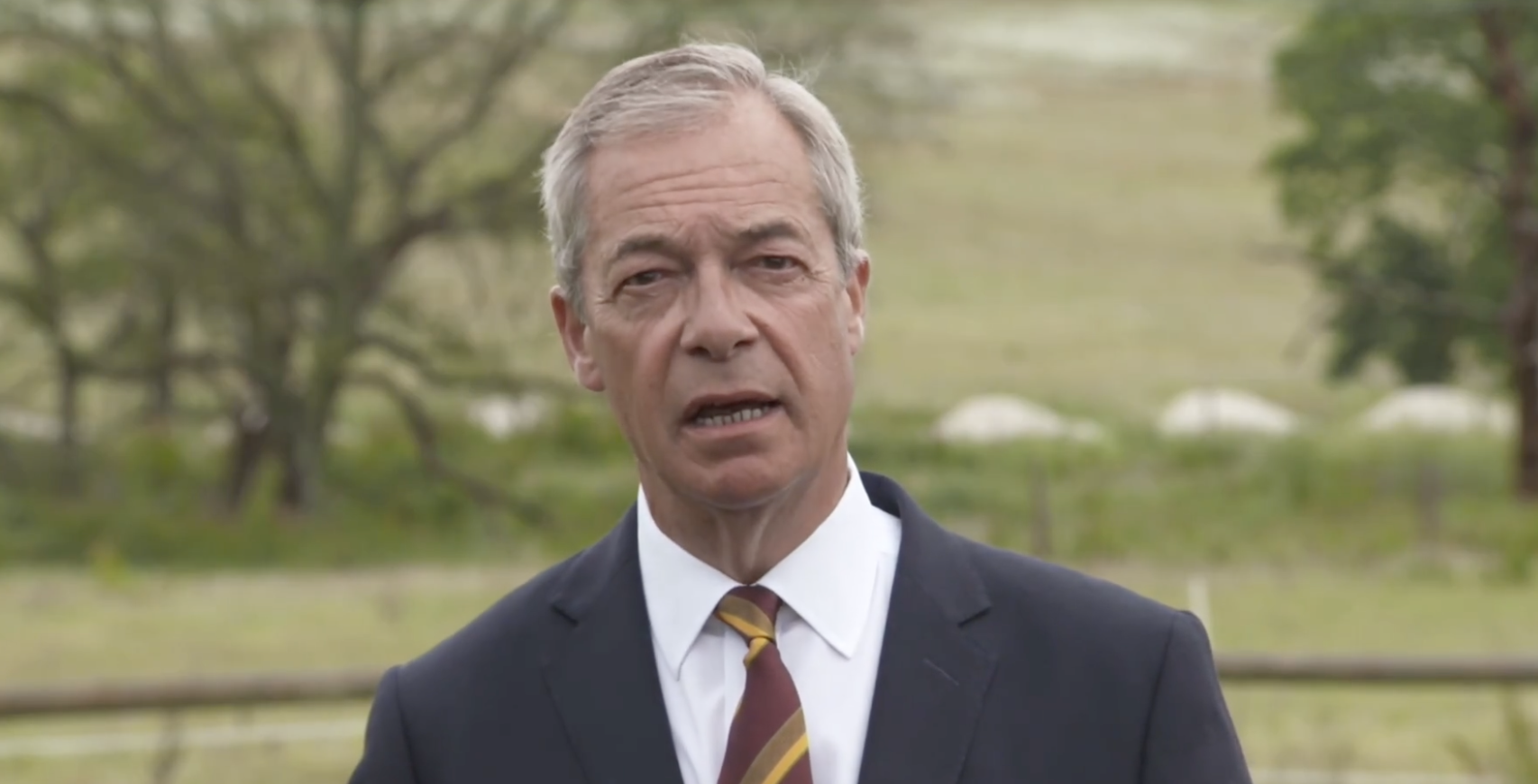 farage henry nowak