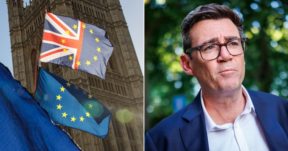 Minister refuses to rule out Labour including a 'rejoin the EU' pledge in next manifesto