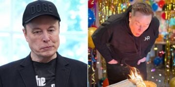 elon musk mum birthday