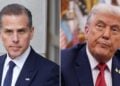 hunter biden donald trump