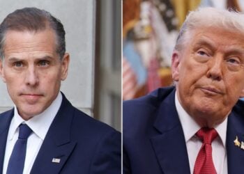 hunter biden donald trump