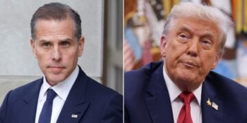 hunter biden donald trump