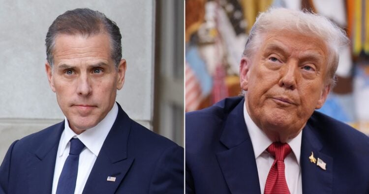 hunter biden donald trump