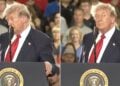 trump heckled