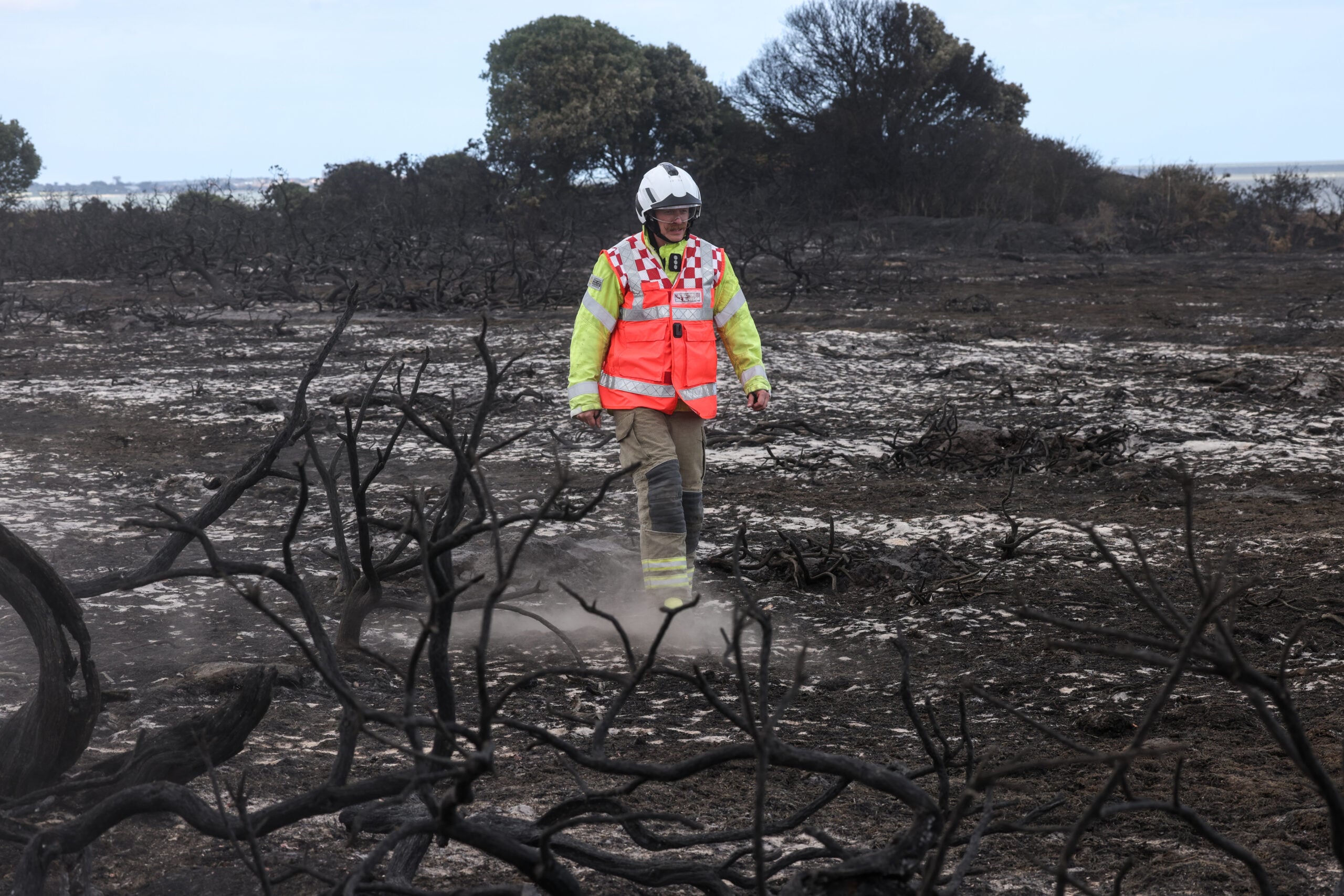 The summer Britain realised climate change was real – and has consequences