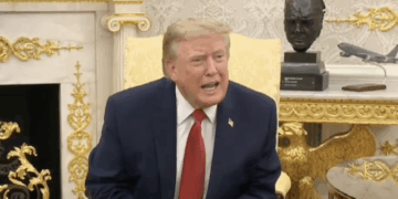donald trump female reporter